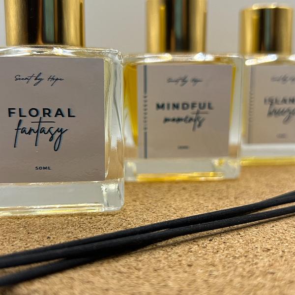 Pack de 3 diffuseurs à batonnets 50 ml